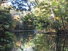 Yaddo water